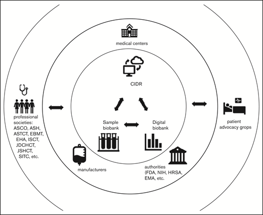 Collaborative network to develop biomarkers. Collaborative network between clinicians, researchers, and the pharmaceutical industry. Samples and data are shared among medical centers, the CIDR, centralized sample and digital biobanks, and the pharmaceutical industry. Data are also shared with regulatory authorities. This cooperation would speed development of biomarkers that are critical to help physicians make decisions that help patients. ASCO, American Society of Clinical Oncology; ASTCT, American Society for Transplant and Cellular Therapy; EBMT, European Society for Blood and Marrow Transplantation; EHA, European Hematology Association; EMA, European Medicines Agency; HRSA, Health Resources and Services Administration; ISCT, International Society for Cell & Gene Therapy; JDCHCT, Japanese Data Center for Hematopoietic Cell Transplantation; JSHCT, Japan Society for Hematopoietic Stem Cell Transplantation; NIH, National Institutes of Health; SITC, Society for Immunotherapy of Cancer.