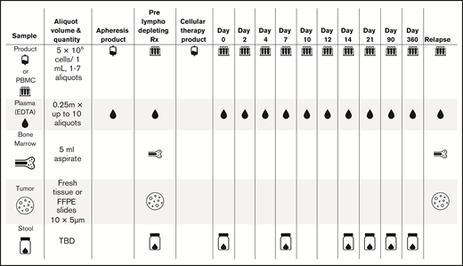 Proposed sample collection (eg, for CD19 CAR T cells). EDTA, ethylenediaminetetraacetic acid; FFPE, formalin fixed, paraffin embedded; TBD, to be determined.