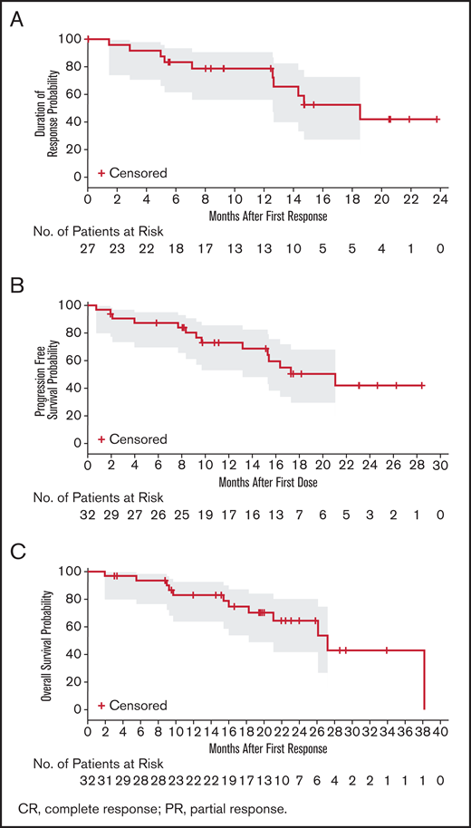 Duration of response, progression-free survival, and overall survival probability. (A) IRC-assessed DOR in patients with CR or PR (n = 27). PFS (B) and OS (C) in the safety population (N = 32). The gray shaded areas are 95% CI for the KM curve.