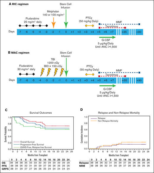 Study schema and HCT outcomes. (A) RIC regimen. Fludarabine was administered at the daily dose of 25 mg/m2 from days −7 to −3 before HCT. Melphalan was given on day −2 at 140 mg/m2 for patients who were younger than 60 years old. Melphalan dose for patients ≥60 years old was 100 mg/m2. (B) MAC regimen consisted of daily fludarabine at 30 mg/m2, from days −7 to −5 before HCT. Total body irradiation was administered in 8 fractions of 150 cGy, 2 times a day, from days −4 to −1, for a total of 1200 cGy. Graft source was PBSCs for both strata, and GVHD prophylaxis was PTCy at 50-mg/kg daily dose on days +3 and +4. Granulocyte colony-stimulating factor administration (5 µg/kg per day) was started on day +5 and continued until absolute neutrophil count >1500/mm3 for 3 consecutive days. Tacrolimus (1 mg continuous IV) administration started on day +5 with dose adjustment to maintain a level of 5 to 15 ng/mL and then changed to equivalent oral dose once stable. Tacrolimus taper was started on day +90 if patient did not have active GVHD. MMF was administered at 15 mg/kg dose 3 times per day beginning on day +5 (maximum dose, 1 g orally, 3 times per day). MMF administration was stopped on day +35 if there was no severe GVHD. (C) Kalan-Meier curve showing survival outcomes and (D) relapse and nonrelapse mortality outcomes.