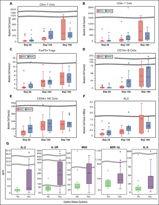 Immune reconstitution and plasma cytokine profile. (A-F) Immune reconstitution analysis on days +28, +60, and +100 after HCT in RIC and MAC arms by flow cytometry per cells in microliter of blood, calculated using the absolute lymphocyte count on the complete blood count with differential. (G) Comparison of plasma cytokine levels on day +7 after HCT in patients who did and did not experience CRS. Outliers have been removed from the cytokine graphs.
