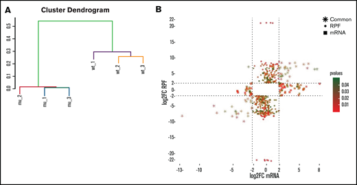 RPS15 mutations mostly affect translation rather than transcription. (A) Cluster dendrogram based on unsupervised agglomerative hierarchical clustering analysis of the 4000 most variable genes (based on standard deviation). (B) Scatterplot indicating differentially expressed genes (log2FC≥|2|; P < .05) at mRNA and RPF level in RPS15mut vs RPS15wt CLL cases. The x-axis represents the log2FC of mRNAs, while the y-axis represents the log2FC of RPFs. The color code (green to red) indicates the statistical significance of the observed differences. Squares indicate genes that show differential expression at mRNA level only, circles indicate the genes that show differential expression at RPF level only, and stars indicate the genes that show differential expression at mRNA and RPF level.