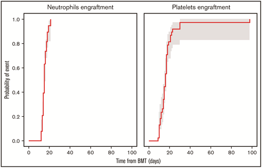 Cumulative incidence of neutrophils and platelets engraftment at day 100 with 90% confidence interval. BMT, bone marrow transplant.