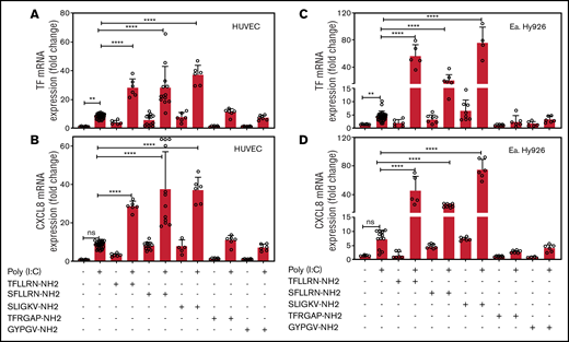 PAR1 and PAR2 activation augments poly(I:C)-induced expression of TF and CXCL8 mRNA. HUVECs and EA.hy926 cells were stimulated with poly(I:C) (12.5 μg/mL) and PAR-specific agonist peptides (150 μM; PAR-1, SFLLRN-NH2 and TFLLRN-NH2; PAR-2, SLIGKV-NH2; PAR-3, TFRGAP-NH2; and PAR-4, GYPGV-NH2) for 3 hours and TF (A,C) and CXCL8 (B,D) mRNA abundance relative to GAPDH were measured by RT-PCR (n = 6-18). Data represent the mean ± standard deviation of the target gene/GAPDH ratio relative to the control. ****P < .0001 by ANOVA followed by a multiple-comparison test. ns, not significant.