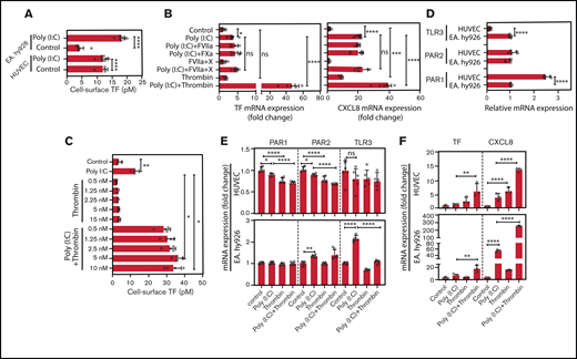 Role of thrombin and coagulation factors VII and X in the augmentation of poly(I:C)-induced responses EC. (A) HUVECs and EA.hy926 cells were stimulated with poly(I:C) (12.5 μg/mL) for 6 hours and the functionally active cell-surface TF was determined by FXa generation assays (n = 4-8). (B) EA.hy926 cells were stimulated with poly(I:C) (12.5 μg/mL) and candidate physiological PAR2 agonists, such as fXa (100 nM), fVIIa (FVIIa-100 nM), fVIIa plus fX (fVIIa, 500 pM; fX, 150 nM; enabling ternary TF-VIIa-Xa complex formation), or thrombin (5 nM) for 3 hours. Relative TF and CXCL8 mRNA abundance was determined by RT-PCR (n = 5-12 per condition). (C) EA.hy926 cells were pretreated with poly(I:C) (12.5 μg/mL) and thrombin (0.5-10 nM) for 6 hours, and the functionally active cell-surface TF was determined by an fXa-generation assay (n = 4). (D) Baseline abundance of TLR3, PAR1, and PAR2 mRNA relative to GAPDH mRNA in EA.hy926 cells and HUVECs. Target gene/GAPDH ratios in EA.hy926 cells were arbitrarily set to 1. (E) Changes in the abundance of PAR1, PAR2, and TLR3 mRNA relative to GAPDH mRNA in response to thrombin and/or poly(I:C) (n = 6) in EA.hy926 and HUVECs stimulated for 3 hours with poly(I:C) (12.5 μg/mL) and/or thrombin (5 nM). Baseline levels were arbitrarily set to 1. (F) TF and CXCL8 mRNA abundance in HUVECs and EA.hy926 cells treated for 3 hours with poly(I:C) (12.5 μg/mL) and/or thrombin (5 nM; n = 6/condition). All data represent the mean ± standard deviation of the indicated number of replicates and were generated in at least 2 biological replicates. The statistical significance of the differences between 2 groups was analyzed by Student t test. A comparison of more than 2 groups was conducted by ANOVA followed by a multiple-comparison test. *P < .05; **P < .01; ***P < .001; ****P < .0001. ns, nonsignificant.