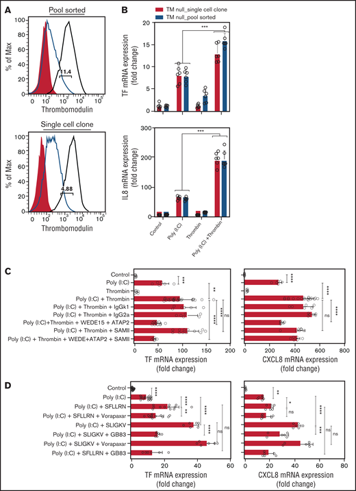 Thrombin augments poly(I:C)-induced TF and CXCL8 mRNA induction by activating PAR1/2 heterodimers. (A) Cell surface Thbd expression level in pool-sorted and single-cell clone Thbd-deficient EA.hy926 cells by flow cytometry. Shaded, nonimmune isotype control; black, parent (Thbd-expressing) cells; and red, Thbd-deficient cells. The numbers in the plots indicate the percentage of estimated maximum contamination, with cells expressing Thbd from 1 residual allele. (B) TM-deficient, pool-sorted cells and single-cell clones were stimulated with poly(I:C) (12.5 μg/mL) and thrombin (5 nM) for 3 hours. TF and CXCL8 mRNA abundance relative to GAPDH was measured by RT-PCR (n = 3-6; in duplicate). (C) EA.hy926 cells were pretreated with PAR1 (WEDE15, 10 μg/mL; ATAP2 10 μg/mL) and/or PAR2 (SAM-11, 10 μg/mL) cleavage-blocking antibodies, followed by treatment with poly(I:C) (12.5 μg/mL) and/or thrombin (5 nM) for 3 hours. TF and CXCL8 mRNA abundance relative to GAPDH was measured by RT-PCR (n = 3-12; in duplicate). (D) EA.hy926 cells were pretreated with PAR-specific inhibitors (PAR1, vorapaxar, 1 μM; PAR2, GB83, 25 μM) followed by stimulation with poly(I:C) (12.5 μg/mL) and PAR1/2 agonist peptides. TF and CXCL8 mRNA abundance relative to GAPDH mRNA was measured by RT-PCR (n = 3-9; in duplicate). Data are expressed as the mean ± standard deviation. The statistical significance of differences between groups was analyzed by ANOVA followed by the multiple-comparison test. *P < .05; **P < .01; ***P < .001; ****P < .0001. ns, nonsignificant.