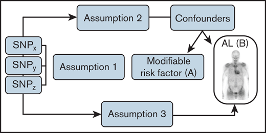Principles underlying MR analyses and assumptions that need to be satisfied for unbiased analyses. Assumption 1 indicates that genetic variants used as instrumental variables (ie, SNPs) are only associated with the modifiable risk factor. Assumption 2 indicates that genetic variants are not associated with any measured or unmeasured confounders. Assumption 3 indicates genetic variants only influence the risk of developing AL amyloidosis through the modifiable risk factor.