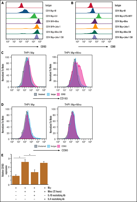 MCL cell interaction with macrophages induces M2 phenotype in coculture system. The surface expression of CD163 (A) and CD80 (B) in CD14-Mφ was measured by flow cytometry after treatment with cytokines (IL-4 or lipopolysaccharide (LPS) plus IFN-γ) or CM collected from Mino or Jeko cells or coculturing with Mino or Jeko. The surface expression of CD163 (C) or CD80 (D) in THP-1-Mφ was measured by flow cytometry after coculturing with Mino cells. (E) CD163 expression was measured in the Mino cell lines after coculturing with THP-1-Mφ with or without IL-10 or IL-4 neutralizing antibodies. Experiments were repeated 3 times, and a representative experiment is shown. *P < .05. Ab, antibody.
