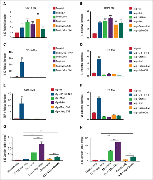 MCL cells modulate cytokine expression in the macrophages. The mRNA expression of IL-10 in CD14-Mφ (A) or THP-1-Mφ (B) was measured by qRT-PCR after direct coculturing with Mino, Granta, or Jeko or treatment with MCL CM or cytokine stimulation. IL-12 (C-D) and TNF-α (E-F) expression was measured in CD14+-Mφ or THP-1-Mφ after direct coculturing with Mino, Granta, or Jeko cells or treatment with MCL CM or cytokine stimulation. IL-10 secretion was measured by enzyme-linked immunosorbent assay in the supernatant of cocultured media from CD14-Mφ (G) or THP-1-Mφ (H) with Mino and Granta cells. Data are presented as mean ± standard deviation from 3 separate experiments. **P < .01, ***P < .001.