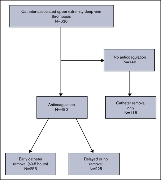Flow diagram of patient selection.