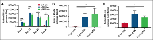 Expanded g-NK cells demonstrate robust persistence in vivo. Comparison of the number of human NK cells present in whole blood at days 6, 16, 26, and 31 postinjection (A), spleen at day 31 (B), and bone marrow (C) at day 31 between NSG mice infused with 1 × 107 g-NK or cNK cells (n = 3 for each arm) as measured by flow cytometry. To compare in vivo persistence between g-NK and cNK cells, a one-way ANOVA was performed with Bonferroni post hoc testing to determine differences between fresh or cryopreserved (Cryo) g-NK and cNK cells. Values are mean ± SEM. *P < .05; ***P < .001.