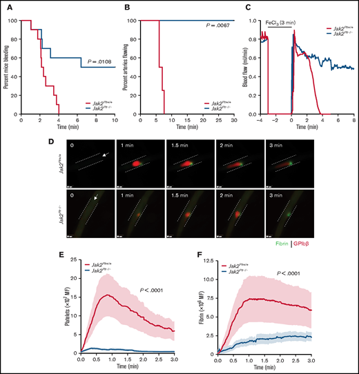 Bleeding and thrombosis defects in Jak2Plt−/− mice. (A) Tail-bleeding time of Jak2Plt+/+ and Jak2Plt−/− mice. Results were estimated by the Kaplan-Meier method and were compared by using the log-rank test (n = 10 in each group; log-rank P = .0108). (B-C) Jak2Plt+/+ and Jak2Plt−/− mice were exposed to 10% FeCl3 for 3 minutes, and arterial flow rates of the carotid artery were measured with a flow probe up to a maximum of 30 minutes to occlusion. (B) Time to occlusion after FeCl3-induced injury. Results were estimated by the Kaplan-Meier method and were compared by using the log-rank test (n = 4 in each group; log-rank P = .0067). (C) Representative blood flow rate graphs. (D-F) Laser-induced injury of the cremaster muscle. Jak2Plt+/+ and Jak2Plt−/− mice were injected with anti-GPIbβ (red) and anti-fibrin (green) antibodies, and the cremaster arteries were interrogated with a 3i Ablate! laser during fluorescence, real-time, intravital video microscopy. (D) Representative still images at 0 to 3 minutes. Arrows represent blood flow direction. Bars represent 25 µm. Platelet (E) and fibrin (F) accumulation at the site of injury was measured by fluorescence intensity. Data are the mean ± standard error of the mean at each time point, compared by using the unpaired Student t test (n = 20 vessels in 4 Jak2Plt+/+ mice and 28 vessels in 5 Jak2Plt−/− mice; platelet and fibrin; P < .0001).