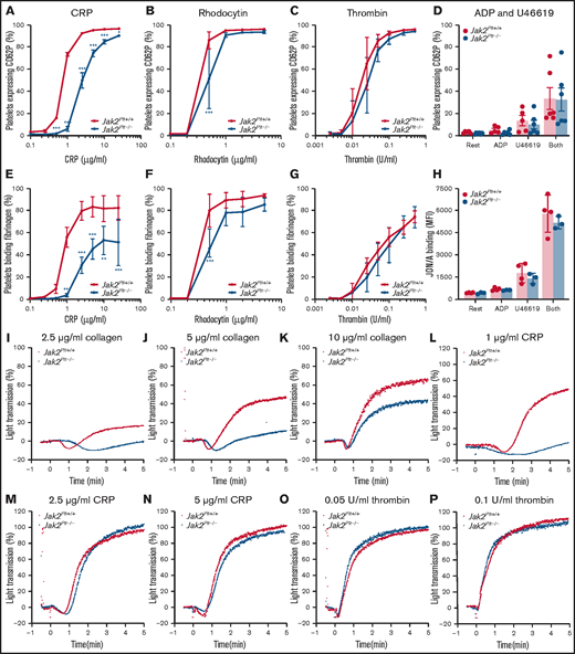 Functional defects of Jak2Plt−/− platelets downstream of GPVI and CLEC-2.Jak2Plt+/+ and Jak2Plt−/− platelets were activated for 2 minutes at 37°C with CRP (A,E), rhodocytin (B,F), thrombin (C,G), or ADP and U46619 (D,H); incubated with FITC-labeled anti-mouse CD62P antibody (A-D), Oregon Green 488-labeled fibrinogen (E-G), or anti-active αIIbβ3 antibody JON/A (H); and analyzed by flow cytometry. Results are expressed as a percentage of positive platelets (A-G) or mean fluorescence intensity (MFI) (H). Results represent mean ± SD of 5 (CRP), 4 (rhodocytin), 6 (thrombin), and 4 (ADP and U46619) independent experiments and were compared by 2-way ANOVA. *P < .05; **P < .01; ***P < .001. Aggregation of Jak2Plt+/+ and Jak2Plt−/− platelets was determined by light transmission under stirring conditions at 37°C in response to 2.5 (I), 5 (J), or 10 (K) µg/mL collagen; 1 (L), 2.5 (M), or 5 (N) µg/mL CRP; or 0.05 (O) or 0.1 (P) U/mL thrombin. Graphs are representative of 4 independent experiments.