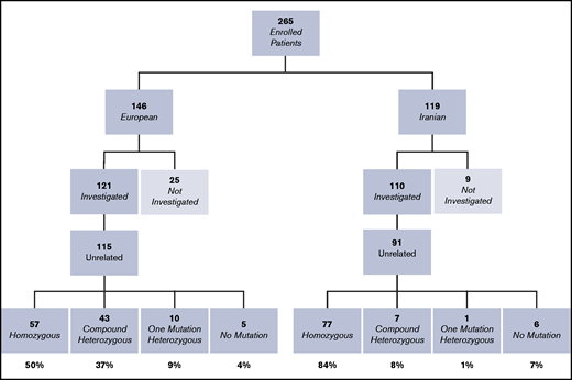 Flowchart and summary of the basic results of the molecular analysis of the cohort of VWD3 patients. Patients not investigated were excluded from the study because of insufficient plasma and/or buffy coat aliquots.