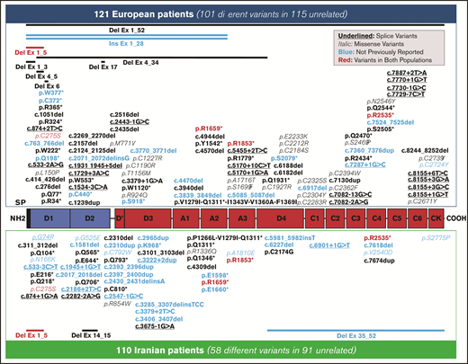 Distribution of the 154 different unique variants identified in the 3WINTERS-IPS cohort. A schematic representation of the pro-VWF polypeptide with the homologous repeated domains structure. Variants identified in the European population are reported at the top; those found in the Iranian population are reported at the bottom. The candidate missense mutations are reported in italics, and the potential splice site mutations are underlined. The 5 variants identified in both populations are reported in red. The variants not previously reported in the EAHAD, HGMD, or Ensembl databases are reported in blue.