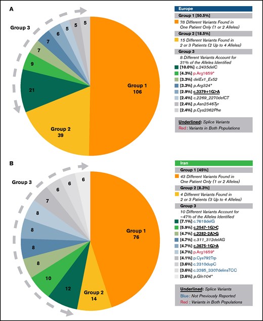 Distribution of alleles among the 154 different unique variants found in the 3WINTERS-IPS cohort. (A) European population. (B) Iranian population. Group 1 reports the alleles of different variants identified only in 1 patient, in either the heterozygous or homozygous state. Group 2 reports the alleles of different variants found in 2 or 3 patients (2 up to 4 alleles). Group 3 reports the alleles of the variants identified in ≥3 patients (>4 alleles). The variants identified in both populations are reported in red. The potential splice site mutations are underlined. The variants not previously reported in the EAHAD, HGMD, or Ensembl databases are reported in blue. The p.Arg1336Gln has been counted together with c.2397_2400dupCATG because these 2 variants are on the same allele.