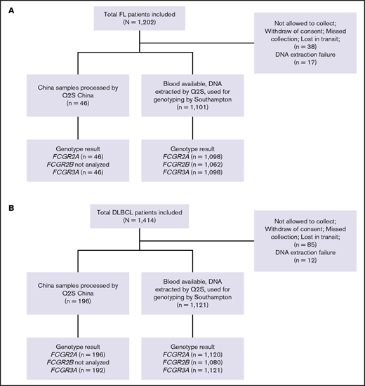 CONSORT diagrams. (A) Patients with FL in the GALLIUM trial and (B) patients with DLBCL in the GOYA trial. Q2S, Q2Solutions.