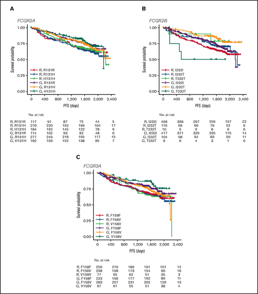 PFS. Data show PFS in patients with the FCGR2A 131 (A), FCGR2B 232 (B), or FCGR3A 158 (C) SNP genotype with FL treated with rituximab (R) or obinutuzumab (G) plus chemotherapy in the GALLIUM trial.