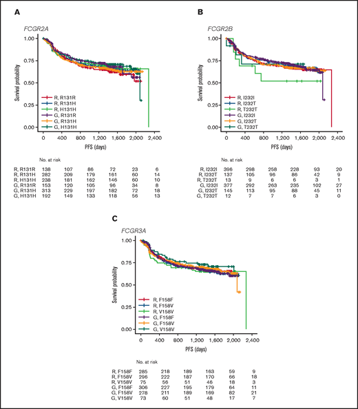 PFS. Data show PFS according to FCGR2A 131 (A), FCGR2B 232 (B), and FCGR3A 158 (C) SNP genotype for patients with DLBCL treated with rituximab (R) or obinutuzumab (G) plus chemotherapy in the GOYA trial.