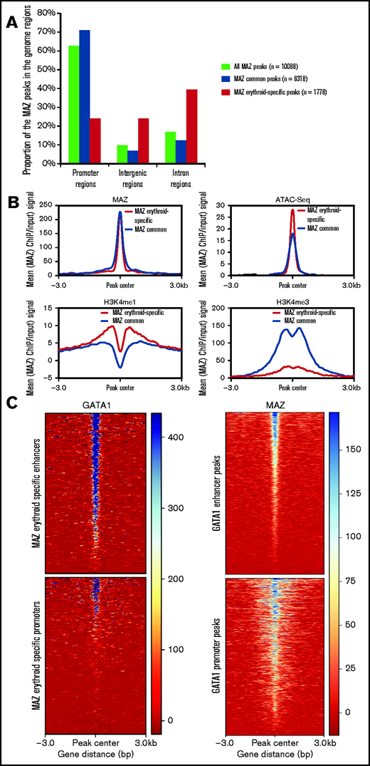 Erythroid-specific MAZ signal is enriched on GATA1-bound enhancers. (A) Genome distribution of MAZ common and erythroid-specific binding sites. (B) Average H3K4me1, H3K4me3, MAZ, and ATAC-seq signal in primary erythroid cells plotted against MAZ erythroid-specific peakset (red) and MAZ common peakset (black) where signal from promoters have been excluded (non-TSS set). (C) Left: Heatmap plot of GATA1 ChIP-seq centered on MAZ erythroid peaks overlapping enhancers (top) and promoters (bottom). Right: Heatmap plot of MAZ ChIP-seq centered on GATA1 peaks overlapping enhancers (top) and promoters (bottom).
