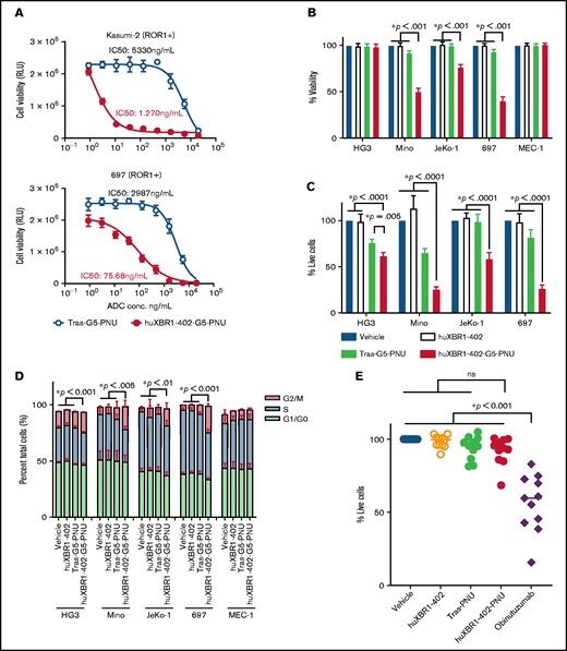 huXBR1-402-G5-PNU is cytotoxic to proliferating ROR1+ cell lines in vitro. (A) Dose response of ROR1+ pre–B-ALL cell lines Kasumi-2 and 697 to huXBR1-402-G5-PNU (red line) and trastuzumab-G5-PNU (blue line; Tras-G5-PNU). Half maximal inhibitory concentrations (IC50) + 95% confidence interval are as follows: Kasumi-2: huXBR1-402-G5-PNU, 1.270 ng/mL (0.31-5.22); Tras-G5-PNU, 5330 ng/mL (2698-10527); 697: huXBR1-402-G5-PNU, 75.68 ng/mL (50.43-113.5); Tras-G5-PNU, 2987 ng/mL (2463-3622). Viability was measured by using MTS assays, and relative light unit (RLU) values for each dose were generated after 72 hours of treatment in 2 independent experiments. (B) Direct cytotoxicity assay on ROR1+ CLL cell line HG3, MCL cell lines JeKo-1 and Mino, ALL cell line 697, and ROR1– CLL cell line MEC1. 2.5 × 105 plated cells were treated with 10 µg/mL of relevant antibodies and controls. Normalized viability (to vehicle) is reported as measured by Annexin V/propidium iodide staining after 72 hours of culture. n = at least 3 independent experiments. (C) Matched absolute cell count (normalized to vehicle) per microliter of culture for all conditions shown. n = at least 3 independent experiments. (D) Cell cycle analysis as measured by 2-hour AF647 conjugated EdU (AF647) incorporation and FxCycle Violet DNA (BV421) stain in paired samples seen in panel B. G1/G0 (green), AF647–/BV421–; S (blue), AF647+; G2/M (red), AF647-–/BV421+. n = at least 3 independent experiments. For panels C and D: red, huXBR1-402-G5-PNU; green, Tras-G5-PNU; white, unconjugated huXBR1-402; blue, vehicle treatments. (E) Direct cytotoxicity assay on primary CLL purified B cells. 1 × 106 plated cells were treated with 10 µg/mL of huXBR1-402-G5-PNU and relevant antibody isotypes (Tras-G5-PNU; unconjugated huXBR1-402) and controls (vehicle; positive control obinutuzumab). Viability (% live cells) normalized to vehicle treatment is reported as measured by Annexin V/propidium iodide staining after 72 hours of culture. n = 11 patients. All data were analyzed by flow cytometry. Statistical significance for multiple comparisons was analyzed via one-way analysis of variance with Tukey’s post hoc test. Error bars indicate ± SE.
