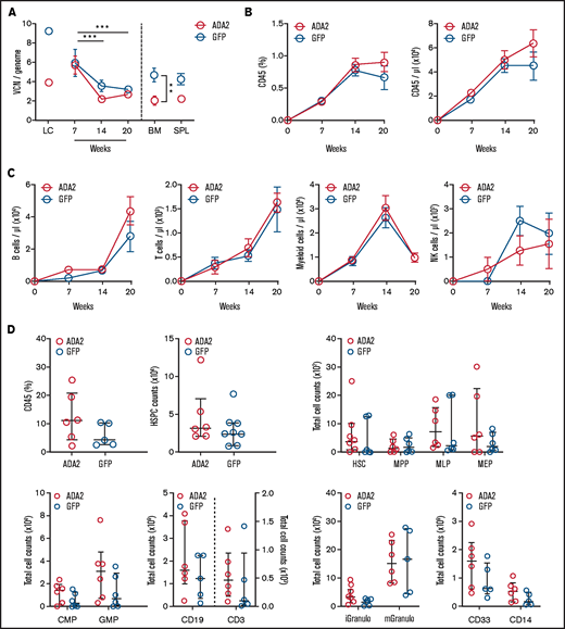 Normal engraftment and multilineage differentiation of ADA2-transduced HDs’ CD34+ cells in NSGW41 mice. (A) The average VCN per genome was evaluated in ADA2- and GFP-transduced HSPCs expanded in vitro (LC), in total peripheral blood leukocytes at 7, 14, and 20 weeks posttransplant, and at 20 weeks in the BM and spleen (SPL) of NSGW41 mice receiving LV-ADA2– or LV-GFP–transduced lineage-negative cells (n = 6 mice per group). Longitudinal analysis of human cell chimerism (CD45+ cells; B) and B, T, myeloid, and NK cells (C) in peripheral blood at 7, 14, and 20 posttransplantation. (D) Flow cytometry analysis showing the total number of HSCs and various progenitor populations in the BM of NSGW41 mice. Data are mean ± standard error. **P < .01, ***P < .001. iGranulo, immature granulocytes; mGranulo, mature granulocytes.