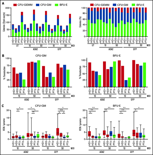 Efficient transduction of patients’ CD34+ cells using the ADA2-LV. (A) Number and percentage of myeloid (CFU-GM), erythroid (BFU-E), and mixed (CFU-GEMM) colonies derived from CD34+ cells from 2 patients and 2 HDs left untreated (UT) or transduced with LV-ADA2 or LV-GFP at an MOI of 10 and 50. (B) Transduction efficiency was calculated as the proportion of vector-positive colonies. (C) Average VCN per genome was evaluated on positive colonies by droplet digital polymerase chain reaction. *P < .05, **P < .01, ***P < .001. PT, patient.