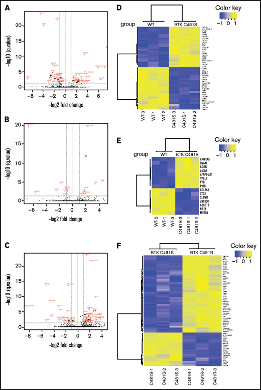 Comparison of the transcriptomic profiles of WT and mutant-BTK–overexpressing cells. (A-C) Volcano plots comparing MEC-1 cells overexpressing BTKWT and BTKC481S (A), BTKWT and BTKC481R (B), and BTKC481S and BTKC481R (C). The DEGs (FDR, ≤0.05; fold change, >2 or < −2) are labeled in red. (D-F) Heat maps of the DEGs (FDR, ≤0.05; fold change, >2 or <−2) between MEC-1 cells overexpressing BTKWT and BTKC481S (D), BTKWT and BTKC481R (E), or BTKC481S and BTKC481R (F).