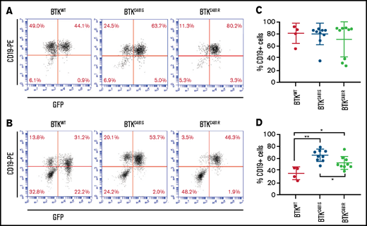 Localization of GFP+ and mutant-BTK–expressing MEC-1 cells in mice. Tumors were established from MEC-1 cells harboring WT or mutant BTK, as described in Figure 4. (A-B) Representative flow cytometry plots for the spleen and bone marrow samples collected from mice with BTKWT (n = 4; left), BTKC481S (n = 9; center), and BTKC481R (n = 9; right). At the time of euthanization, cells were collected from the spleen (A) and bone marrow (B), stained with a monoclonal antibody against human CD19 to identify the GFP+ MEC-1 cells, and analyzed by flow cytometry. (C-D) The percentage of CD19+ MEC-1 cells in spleen (C) and bone marrow (D). One-way analysis of variance, P = .05; Student t test, *P < .05 for BTKWT vs BTKC481R cells; **P < .01 for BTKWT vs BTKC481S cells.