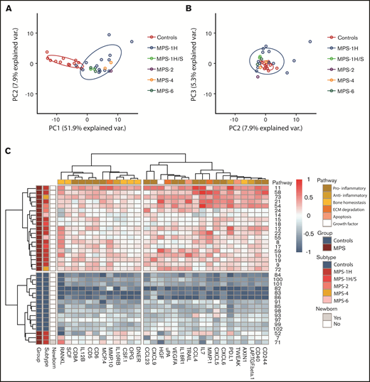 PCA and heatmap of inflammation markers in untreated patients with MPS vs control subjects. (A) Principal component 1 (PC1) vs principal component 2 (PC2) shows clear separation of control subjects (blue) and patients with MPS (n = 22). (B) PC2 vs principal component 3 (PC3). (C) Heatmap of inflammation markers both present in PC1 of PCA and list of significant and >1.5-log2 fold change supervised analysis. On the left, color coding is shown for group (control subjects vs MPS), subtypes (of the different MPS), and whether the patient was a newborn. The color coding on top indicates to which pathway the different markers belong. ECM, extracellular matrix.