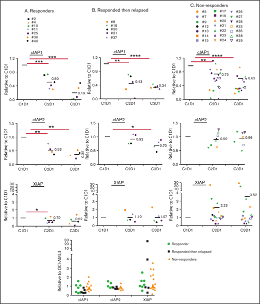 cIAP1, cIAP2, and XIAP expression during LCL161 treatment for MF. IAP protein expression. Samples were collected on C1D1, C2D1, and C3D1. Protein levels of cIAP1, cIAP2, and XIAP were determined by Western blot, quantified using the Odyssey software, and expressed as levels related to those in baseline (C1D1) or to those in OCI-AML3 cells (as a control). (A) IAP levels in samples from responders (≥ 2 years). (B) IAP levels in blood samples from responding, then relapsed patient samples. (C) IAP levels in samples from nonresponders. (D) IAP levels in baseline C1D1 samples. Differences between groups were assessed with the Student t test. *P < 0.05; **P < 0.01; ***P < 0.001; *****P < 0.0001.