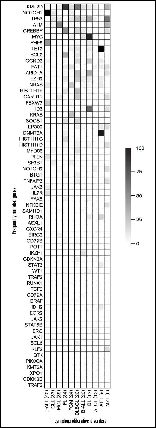 Heatmap of the most frequently mutated genes in each disease entity. Disease entities with ≥6 samples in the validation cohort (n = 270) are included in the study. Each row represents a gene, ordered by the frequency of mutations across all disease entities, with the most frequently mutated gene at the top. Each column represents a disease entity, with the number of samples assessed in parentheses. The color represents the percentage of samples in a particular disease entity, identified with a mutation in each specific gene. AITL, angioimmunoblastic T-cell lymphoma; MZL, marginal zone lymphoma.