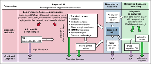 The diagnostic utility of PNHGran clones, acquired 6p CN-LOHMHC, and clonal TRG rearrangement for acquired AA. Following initial hematologic evaluation, which includes a complete blood count (CBC) with differential, a bone marrow aspirate and biopsy, and cytogenetics analysis, the diagnostic evaluation of patients with suspected AA should include upfront testing for AA-specific laboratory findings using peripheral blood flow cytometry to detect PNH and single-nucleotide polymorphism array testing of bone marrow or peripheral blood DNA to detect acquired 6p CN-LOHMHC in addition to exclusion of alternative etiologies of pancytopenia. The presence of PNH clones or acquired 6p CN-LOHMHC is predictive of AA, which may allow clinicians to bypass extensive IBMFS testing. In the absence of these findings, AA diagnosis is established by excluding alternative etiologies of marrow aplasia, including exclusion of telomere biology disorders via telomere-length measurements and FA via chromosome breakage testing. Select patients suspected of having other IBMFSs may require comprehensive genetic testing. As PNH and acquired 6p CN-LOHMHC are clonal changes that emerge in response to autoimmune attack on the bone marrow, their prevalence may rise over the disease course. Thus, serial testing for these markers (along with repeating a bone marrow biopsy with cytogenetic analysis and genetic testing for unrecognized germline mutations) may increase the diagnostic yield later in disease. This may be particularly helpful for patients who are refractory to IST, for whom there may be lingering concerns that failure to respond to IST could indicate a mistaken diagnosis of immune-mediated AA, and that a patient’s marrow failure is caused by other, non–immune-mediated etiologies such as IBMFSs. LDH, lactate dehydrogenase.