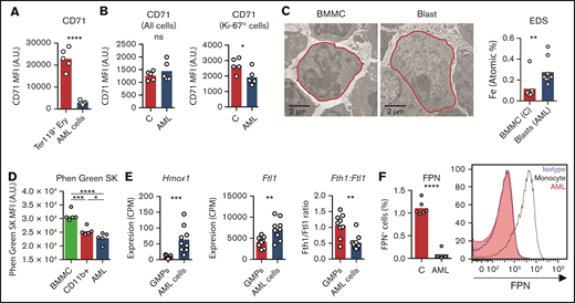 AML cells accumulate iron. (A) FACS analysis of the mean fluorescence intensity (MFI) of surface CD71 in nonmalignant Ter119+ erythroid precursors and AML blasts in the BM. n = 5 mice per group. (B) Analysis of CD71 MFI in all or in proliferating Ki-67hi control nonmalignant BM cells and AML blasts isolated from the BM. n = 5 mice per group. (C) Representative TEM images of BM cells from control and leukemic mice and EDS quantification of atomic iron (Fe) in selected cells. n = 7-9 cells from 3 mice per group. (D) FACS quantification of the labile iron pool (LIP) in BM mononuclear cells (BMMC) or CD11b+ cells from control mice or leukemic cells from AML-burdened mice. The fluorescent indicator Phen Green SK is quenched by iron (lower Phen Green SK MFI corresponds to higher LPI). Each dot represents a mouse. Expression of heme oxygenase 1 (Hmox1), (E) ferritin light chain 1 (Ftl1), and ratio between ferritin heavy chain 1 (Fth1) and Ftl1 expression in nonmalignant GMPs and AML cells (GSE105159). Each dot represents a mouse. (F) Flow cytometry analysis of ferroportin (FPN) in nonmalignant monocytes and AML cells. Right, representative histogram. Each dot represents a mouse.