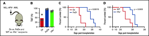 Prolonged survival in leukemic mice with elevated TSAT. (A) Mice transplanted with AML were treated with dextran (Dx) or iron dextran (FeDx). On a separate cohort, WT or Hfe−/− mice were transplanted with MLL-AF9+ AML. (B) FeDx-treated mice and Hfe−/−mice had increased TSAT. Kaplan-Meier curve showing improved survival of leukemic FeDx (C) and Hfe−/− mice (D). n = 5-8 mice per group.
