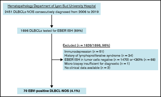 Flowchart of EBV+ DLBCL-NOS cases included in the study.