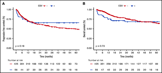 Survival probabilities of EBV+ DLBCL-NOS vs EBV− DLBCL-NOS patients treated with a curative-intent regimen. (A-B) PFS (A) and OS (B) for the 56 EBV+ DLBCL-NOS compared with the 425 EBV− DLBCL-NOS cases. Both PFS and OS are not significantly between EBV+ DLBCL-NOS and EBV− DLBCL-NOS. At 5 years, PFS of EBV+ DLBCL-NOS vs EBV− DLBCL-NOS is 65.6% (95% CI, 59.2-72) and 49.6% (95% CI, 46.5-52.7), respectively (P = .180); and OS of EBV+ DLBCL-NOS vs EBV− DLBCL-NOS is 68.3% (95% CI, 61.9-74.7) and 64.8% (95% CI, 61.6-68), respectively (P = .730).