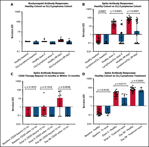 COVID-19 antibody responses in patients with CLL/lymphoma and healthy controls. (A) The IgG N antibody responses at baseline, time of dose 2, and 28 days after vaccination for the healthy cohort (red) and CLL/lymphoma cohort (blue). Low magnitudes at all time points demonstrate no prior history of natural infection or infection with COVID-19 during the study. (B) IgG S antibody titers in healthy cohort (red) (n = 23), as compared with the CLL/lymphoma cohort (blue) (n = 23). (C) The magnitude of IgG S antibody for patients who received CD20 therapy in the last 12 months (blue) (n = 6), as compared with those who received CD20 beyond 12 months (red) (n = 9). (D) IgG S antibody responses for the healthy cohort (red) (n = 23), as compared with patients with CLL/lymphoma who were treatment-naive (blue) (n = 5). The dotted horizontal line in panels B-D at 1.07 is an internally validated threshold that marks a positive or negative antibody response. The black error bars denote median with a 95% confidence interval AEB, average enzymes per bead.