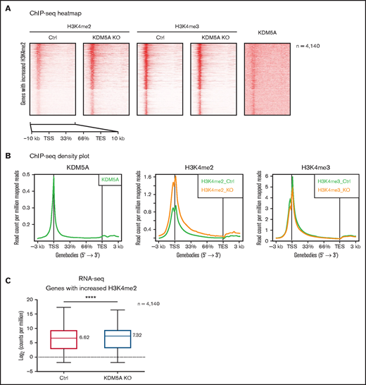 KDM5A KO led to the increase of H3K4me2 at promoters and 5' intragenic regions correlated with upregulation of gene expression. (A) Heatmap analysis of the ChIP-seq profiles of KDM5A in NB4 and H3K4me2 and H3K4me3 in the control (Ctrl) and KDM5A-KO NB4 cells. Gene bodies with upregulated H3K4me2 (in KDM5A-KO NB4 cells) ± 3 kb are shown, sorted according to H3K4me2 binding intensity in control NB4. (B) ChIP-seq signal density plots showing the global levels of H3K4me3 and H3K4me2 at all genes ± 3 kb. (C) Box plot showing the expression levels of genes with increased H3K4me2 in KDM5A-KO, in the control and KDM5A-KO NB4 cells. Gene expression levels are presented as log2CPM. Statistical significance was determined by using Student’s t test. ****P < .0001.