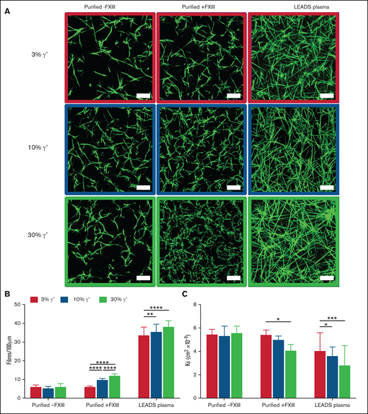 In static conditions, increasing fibrinogen γ′ levels within the (patho)physiological range increase clot density and reduce clot porosity. (A) Clots were formed under static conditions for purified experiments with 3%, 10%, and 30% fibrinogen γ′ in the presence (n = 3) or absence (n = 3) of FXIII. In parallel, clots were formed in patient samples (low γ′, n = 41; normal γ′, n = 45; high γ′, n = 33) with similar percentages of fibrinogen γ′. Clots were spiked with fluorescently labeled fibrinogen and viewed with a laser-scanning confocal microscope. Scale bar, 25 μm. (B) Clot density was quantified by calculating the number of fibers per 100 μm. (C) Permeation assays were carried out to calculate the porosity of clots. Data are mean ± SD. *P < .05, **P < .01, ***P < .001, ****P < .0001; 1-way ANOVA followed by Tukey’s multiple-comparisons test.