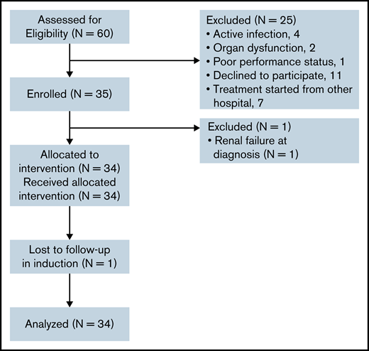 CONSORT flow diagram.