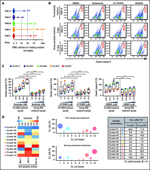 Surviving persister cells in venetoclax-treated patients with CLL are enriched for leukemic B cells displaying functional and molecular properties of multidrug resistance. (A) Schema of the studied patients with CLL (supplemental Table 4) with timing of sample collections taken before and during venetoclax treatment. (B-C) PBMCs of patients with CLL isolated prior to or during treatment with venetoclax were analyzed for multidrug resistance in ATA by incubating ex vivo with inhibitors of Bcl-2 (venetoclax; 25, 50, 100, or 200 nM), Bcl-xL (A1155463; 8, 16, 32, or 64 µM), or Mcl-1 (S63845; 2.05, 3.07, 4.6, or 6.9 µM) for 3 hours without agonists. (B) Representative flow images showing caspase-9 cleavage in CLL (viability dye−/CD5+/CD19+) cells following ex vivo incubation with venetoclax (200 nM), A1155463 (64 μM), or S63845 (6.9 μM) of a patient PBMC (patient 71) taken prior to or at 3 and 27 days of treatment with venetoclax. (C) Percentage CLL cells positive for cleaved caspase-9 following ex vivo incubation with venetoclax, A1155463, or S63845 of multiple PBMCs of patients with CLL (N = 5) taken prior to or during treatment with venetoclax, as shown in panel A. Data are presented after subtracting spontaneous apoptosis values from DMSO treatment controls. (D) The expression of antiapoptotic proteins in PBMCs of patients with CLL (N = 5) taken prior to or during treatment with venetoclax was analyzed by FCM. FCS files were generated from pregated CLL (viability dye−/CD5+/CD19+) cells, and cell clusters expressing different levels of antiapoptotic proteins in before and during therapy samples were identified using an unsupervised clustering analysis as described in Figure 1C. A heatmap was generated based on GMFLI values to show expression of various antiapoptotic proteins in different clusters (left). Clusters were visualized using a bubble graph in which every bubble represents 1 cluster and the area of the bubble (size) is proportional to the mean percentage of cells in that cluster (middle). A table showing mean percentage cells in every cluster in samples taken before and during venetoclax treatment (right). The mean percentage of cells in a cluster was determined by calculating the average for that cluster across patients analyzed (N = 5). Statistical significance was determined by ANOVA with Sidak’s post-hoc test for multiple comparisons. *P < .05; **P < .01; ***P < .001; ****P < .0001. Data are presented as mean ± SD. Pt, patient; VEN, venetoclax.