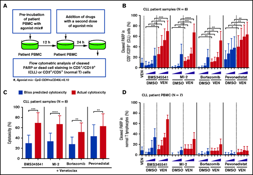 Drug screen performed using patient PBMCs cultured in an ex vivo microenvironment model identifies novel venetoclax combinations that exhibit selective cytotoxicity in multidrug-resistant CLL cells. (A) Diagram presenting the experimental approach for combination drug screening in microenvironmentally induced multidrug-resistant CLL cells ex vivo. PBMCs of patients with CLL were preincubated with the combination of CpG-ODN, sCD40L, and IL-10 (agonist mix) for 12 hours. Then, samples were treated with venetoclax (25 nM) in combination with increasing concentrations of the IKKα/β inhibitor BMS345541 (2, 4, 6, or 8 µM), the MALT1 inhibitor MI-2 (0.18, 0.37, 0.75, or 1.5 µM), the proteasome inhibitor bortezomib (1, 2, 4, or 8 nM), or the Nedd8 activating enzyme inhibitor pevonedistat/MLN4924 (0.25, 0.5, 0.75, or 1 µM), as well as a second dose of agonist mix for 24 hours. (B) The cleaved PARP in CD5+/CD19+ (CLL) cells was analyzed by FCM. (C) Bar graphs presenting Bliss predicted and actual (ie, observed) cytotoxicity for the combination of venetoclax (25 nM) with BMS345541 (8 µM), MI-2 (1.5 µM), bortezomib (8 nM), or pevonedistat/MLN4924 (1 µM) in CLL cells. The Bliss predicted cytotoxicity was determined as described earlier.16,44-46 Synergistic benefit is expected when the actual cytotoxicity is more than Bliss-predicted cytotoxicity. (D) The cleaved PARP in CD3+/CD5+ cells (normal T lymphocytes) was analyzed by FCM. The data in panels B and D are presented after subtracting spontaneous apoptosis values from DMSO treatment controls. Statistical significance was determined by ANOVA with Sidak’s post-hoc test for multiple comparisons. *P < .05; **P < .01; ***P < .001; ****P < .0001. Data are presented as mean ± SD.