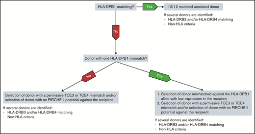 Decision tree for optimizing donor selection for HSCT candidates based on the results of this study and developed to reduce aGVHD risks in patients with a low risk of relapse. Classical HLA-DPB1 matching is the first parameter considered if a 10/10 donor can be identified. In case a 12/12 matched donor is not identified, the feasibility of selecting a donor with one or two biological permissive mismatches is explored. In cases when one or several donors carrying only one HLA-DPB1 allele mismatch are available, a low expression mismatched allele should be preferred in the recipient, followed by the feasibility to select a permissive TCE3 or TCE4 mismatch and/or to avoid PIRCHE II. The prioritization of expression over the 2 other biological models is based on the combined analyses in Table 3 showing that expression adds new information beyond TCEs and PIRCHE II. Of course, TCEs and PIRCHE II in addition to expression or as an alternative strategy are also informative. When allele matching cannot be achieved (ie, for selecting among unrelated donors with two HLA-DPB1 mismatches), the feasibility to select a permissive TCE3 or TCE4 mismatch and/or to avoid PIRCHE II applies. According to our data, TCEs and PIRCHE II should be considered equally during donor selection. The role of HLA-DRB3/4 matching and additional non-HLA factors should also be considered.