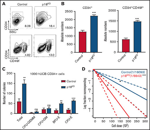 Effect of p18 knockdown on human hematopoietic cells. Representative images (A) and absolute numbers (B) of the flow cytometry data of human CD34+ and CD34+CD49f+ cell populations of hUCB CD34+ cells after infection of lentivirus carrying hairpin RNA targeting p18 were measured at 7 days (n = 3); 1 × 104 CD34+GFP+ human UCB cells were seeded at the beginning. (C) Total CFC contents of control and p18 knockdown human CD34+ cells at 2 weeks (n = 3). GEMM, colony-forming unit-granulocyte, erythroid, macrophage, megakaryocyte; CFU-GM, colony-forming unit-granulocyte, macrophage; BFU-E, burst-forming unit-erythroid; CFU-E, colony-forming unit-erythroid. (D) Frequencies of CAFCs of control and p18 knockdown human CD34+ cells (n = 10). Doses of 30 000, 15 000, 7500, 3750, and 1875 cells per well were used. The experiment was repeated 3 times. All data represent the means ± standard deviation (SD). Compared with control unless specified: *P < .05, **P < .01, ***P < .001 by 2-tailed unpaired t test.