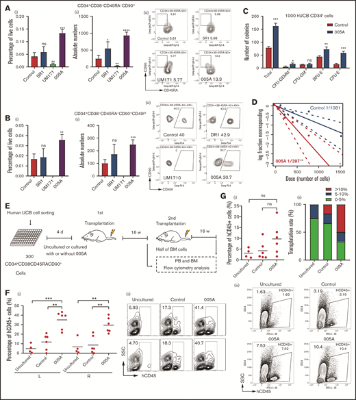 005A treatment retained the stemness of human primary HSCs. (A) The percentage (i) of live cells and absolute numbers (ii) per well of human CD34+CD38−CD45RA−CD90+ cells were measured (n = 4). Representative images (iii) of the flow cytometry data of CD34+CD38−CD45RA−CD90+ cell population and percentage in CD34+CD38− cells. (B) The percentage (i) of live cells and absolute numbers (ii) per well of human CD34+CD38−CD45RA−CD90+CD49f+ cells were measured (n = 4). Representative images (iii) of the flow cytometry data of CD34+CD38−CD45RA−CD90+CD49f+ cell population and percentage in CD34+CD38−CD45RA−CD90+ cells; 1 × 105 CD34+ UBCs were planted in 24-well plate, and cell populations were analyzed by flow cytometry after 7-day treatment with vehicle, SR1(1 µmol/L), UM171 (35 nmol/L), or 005A (20 nmol/mL) in panels A and B. (C) CFU statistical analysis of colony formation data for cells treated with or without 005A for 7 days (n = 3). GEMM, colony-forming unit-granulocyte, erythroid, macrophage, megakaryocyte; CFU-GM, colony-forming unit-granulocyte, macrophage; BFU-E, Burst-forming unit-erythroid; CFU-E, colony-forming unit-erythroid. (D) Frequencies of CAFCs of vehicle and 005A-treated human CD34+ cells (n = 10). Doses of 1500, 750, 375, 186, and 92 cells per well were used. The experiment was repeated 3 times. (E) An overview of the experimental setup used to perform xenotransplantations in immunodeficient NOG mice. (F) Levels of human engraftment (i) and representative images of the flow cytometry data (ii) in intrafemoral injected (R, right) or none injected (L, left) bone marrow from primary recipients of human CD34+CD38−CD45RA−CD90+ cells that were directly transplanted (uncultured) or cultured with or without 005A (n = 4 for uncultured group, n = 6 for control group and 005A group). Each symbol represents the results from an individual mouse. (G) Levels of human engraftment (i) of the secondary NOG recipients and chimerism were assessed after 4 months. (ii) Transplantation rate of mice at different engraftment levels (<5%; 5%−10%; >10%) in each group are shown. n = 4 for uncultured group, n = 6 for control group and 005A group. (iii) Representative fluorescence-activated cell sorter profiles. All data represent means ± SD. Compared with control unless specified: *P < .05, **P < .01, ***P < .001 by 2-tailed unpaired t test.