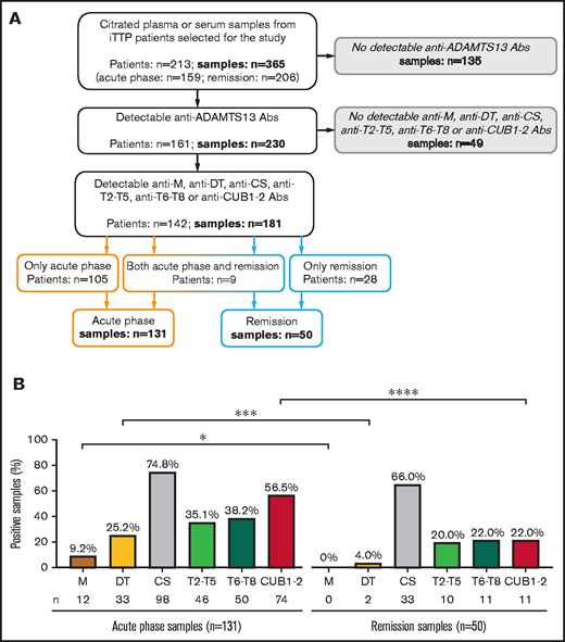 Fine mapping of anti-ADAMTS13 autoantibodies in acute-phase and remission samples. (A) Flow chart representing an overview of the number of patients and their corresponding plasma or serum samples analyzed in this study. A total of 365 plasma or serum samples from 213 patients were selected and screened for the presence of anti-ADAMTS13 autoantibodies. More than 1 sample was available for 92 patients. Samples were both from acute phase (orange) and remission (blue). Positive samples were further screened for the presence or absence of anti-M, anti-DT, anti-CS, anti-T2-T5, anti-T6-T8, and anti-CUB1-2 autoantibodies. From the positive samples, more than 1 sample was available for 27 patients. These samples can be identified in supplemental Table 1 as samples with the same patient identification number but with a different sample identification number. (B) Comparison of the percentage of samples with detectable anti-M, anti-DT, anti-CS, anti-T2-T5, anti-T6-T8, and anti-CUB1-2 autoantibodies between acute-phase samples (n = 131) and remission samples (n = 50). Fisher’s exact test; *P < .05; ***P < .001; ****P < .0001.