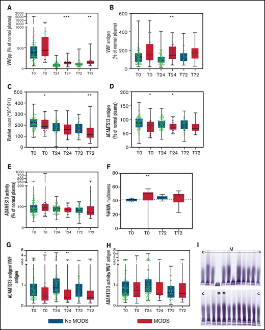 The VWF-ADAMTS13 balance is disturbed in patients who develop MODS and does not normalize over time, associated with platelet consumption and circulation of larger VWF multimers. Data are boxplots with range. (A) VWF propeptide. (B) VWF antigen. (C) Platelet count. (D) ADAMTS13 antigen. (E) ADAMTS13 activity. (F) HMW VWF multimers. (G) ADAMTS13 antigen/VWF antigen ratio. (H) ADAMTS13 activity/VWF antigen ratio. (I) Gel electrophoresis of VWF multimers. Dotted horizontal line in panel F is standard pool plasma level of VWF HMW VWF multimers. Two outliers in the MODS groups had 0% and 9.1% HMW multimers and were not incorporated in the statistical analysis. In panel I, “C” means control (normal human plasma pool) and “M” means patient developing MODS. *P < .05 and **P < .01 between patients without MODS and patients with MODS. VWFpp, human VWF propeptide.
