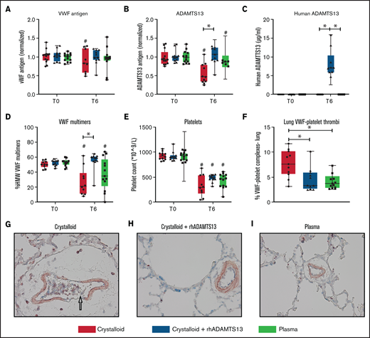 Recombinant human ADAMTS13 and plasma transfusion reduce the deranged ADAMTS13-VWF axis, associated with decreased VWF-platelet thrombi in the lung. Data are shown as boxplots with range. (A-E) Before trauma (T = 0) and 6 hours post-trauma, samples were analyzed for different measures, including VWF antigen (A), rat ADAMTS13 antigen (B), human ADAMTS13 antigen (C), HMW VWF multimers (D), and platelet counts (E). (F) At termination, the lung was assessed for VWF-platelet microthrombi. (G-I) Images (original magnification ×400) of the lung for the assessment of VWF (blue), CD41 + platelets (red), and microthrombi (purple). The arrow in (G) points towards a microthrombus. *P < .05, **P < .01, and ***P < .001 between groups; #P < .05 within groups.