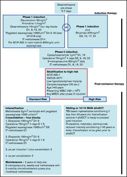 Schematic of the UKALL14 protocol with drug regimens outlined.